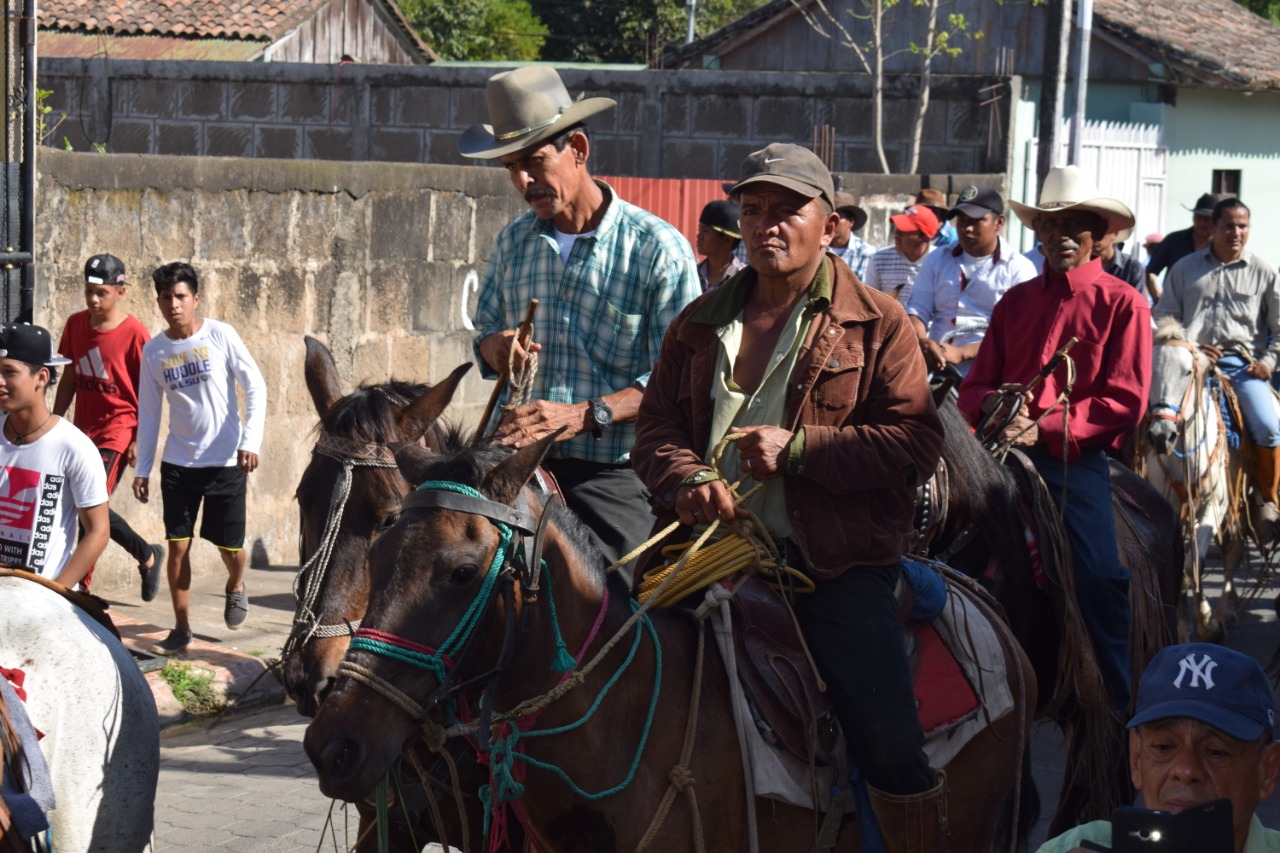 TOROS1